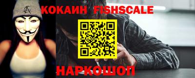 ECSTASY Гай