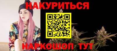крисы Гатчина
