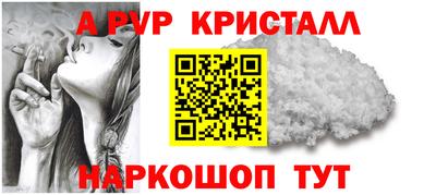 ECSTASY Гай